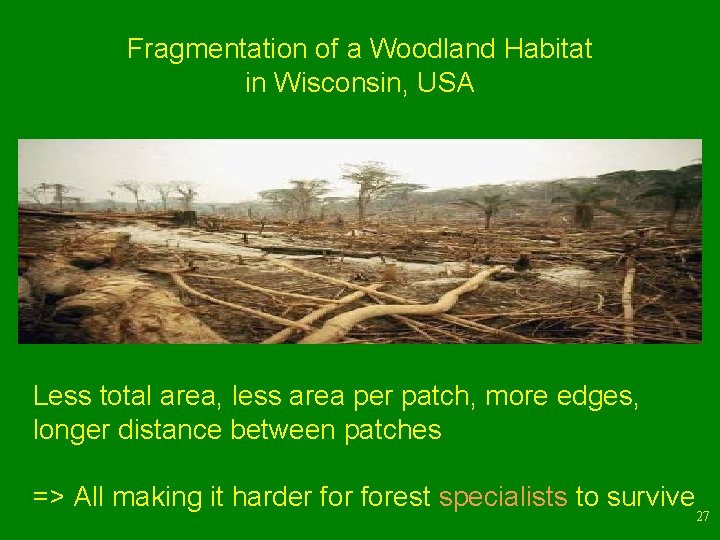 Fragmentation of a Woodland Habitat in Wisconsin, USA Less total area, less area per