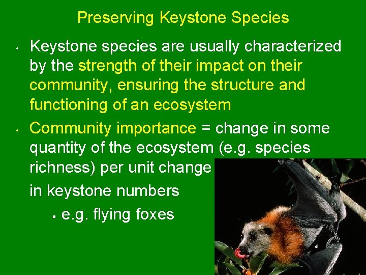 Preserving Keystone Species • • Keystone species are usually characterized by the strength of