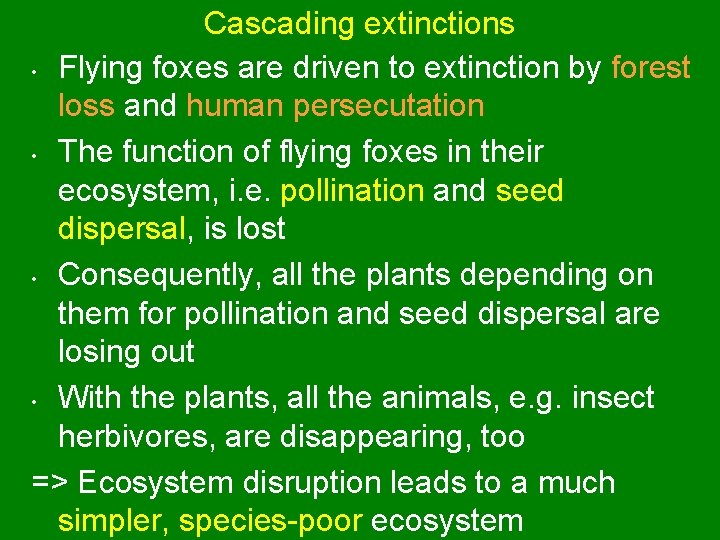 Cascading extinctions • Flying foxes are driven to extinction by forest loss and human