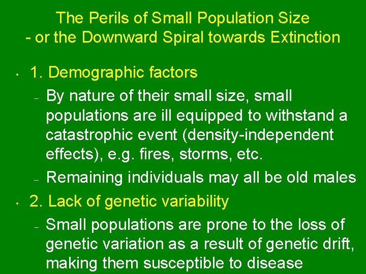 The Perils of Small Population Size - or the Downward Spiral towards Extinction •