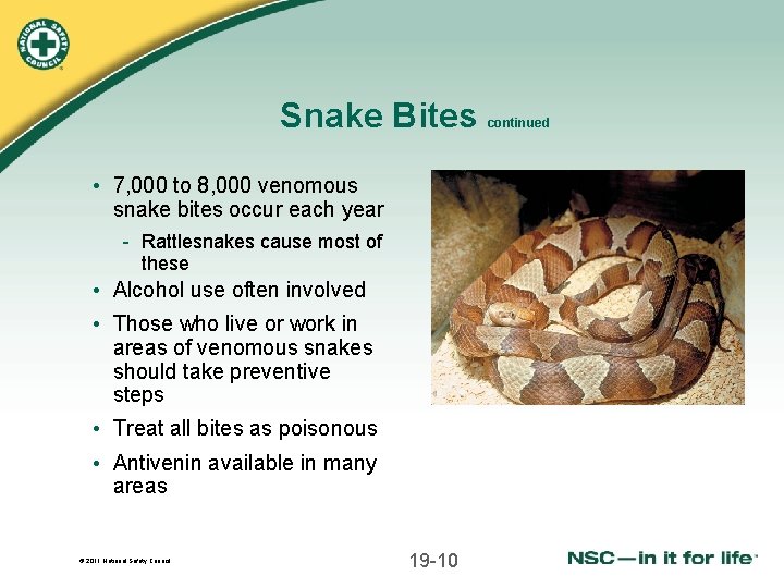Snake Bites • 7, 000 to 8, 000 venomous snake bites occur each year