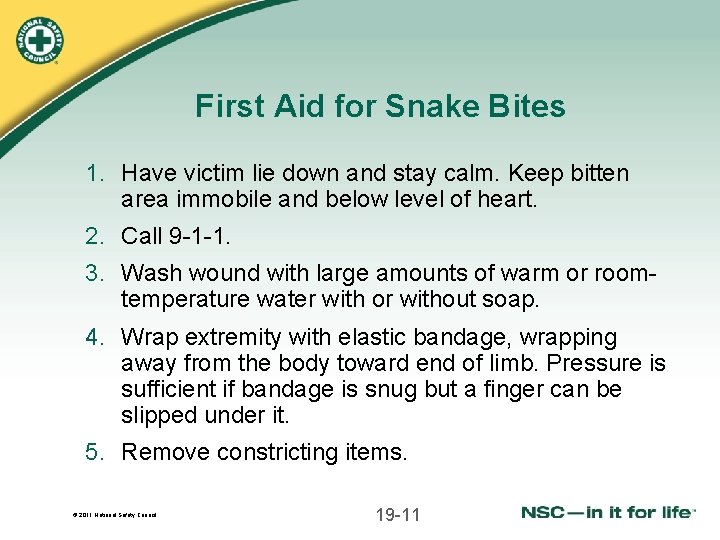 LESSON 19 BITES AND STINGS 2011 National Safety