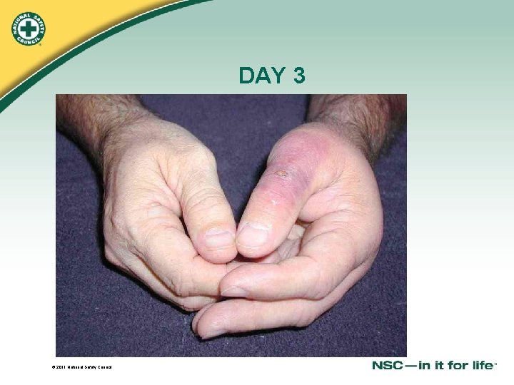 DAY 3 © 2011 National Safety Council 