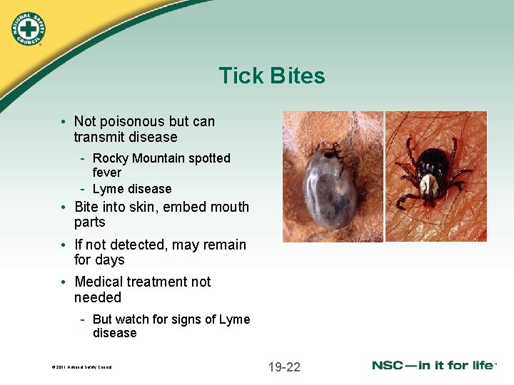 Tick Bites • Not poisonous but can transmit disease - Rocky Mountain spotted fever