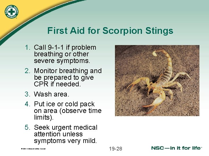 First Aid for Scorpion Stings 1. Call 9 -1 -1 if problem breathing or