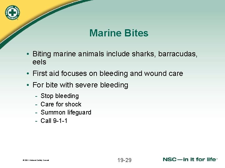 Marine Bites • Biting marine animals include sharks, barracudas, eels • First aid focuses