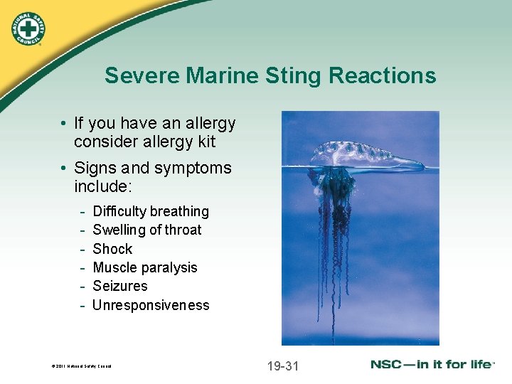 Severe Marine Sting Reactions • If you have an allergy consider allergy kit •