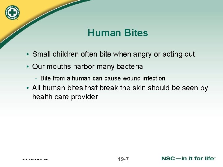 Human Bites • Small children often bite when angry or acting out • Our
