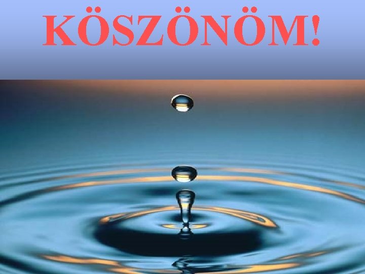 KÖSZÖNÖM! 