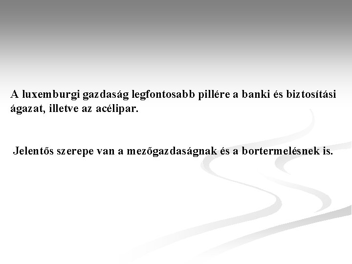 A luxemburgi gazdaság legfontosabb pillére a banki és biztosítási ágazat, illetve az acélipar. Jelentős