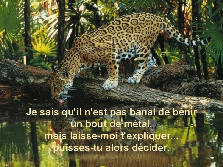 Je sais qu'il n'est pas banal de bénir un bout de métal, mais laisse-moi