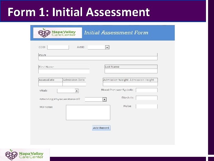 Form 1: Initial Assessment Form 1: Initial Assessment