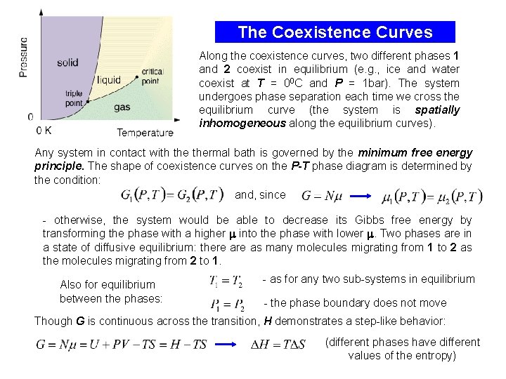The Coexistence Curves Along the coexistence curves, two different phases 1 and 2 coexist