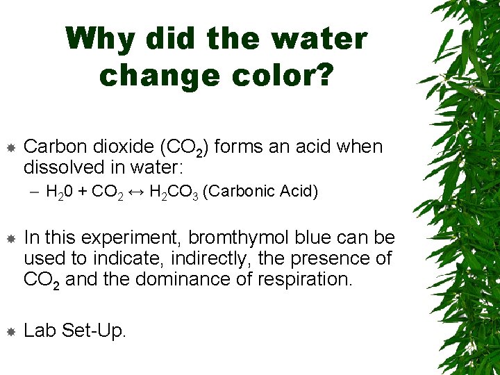 Why did the water change color? Carbon dioxide (CO 2) forms an acid when