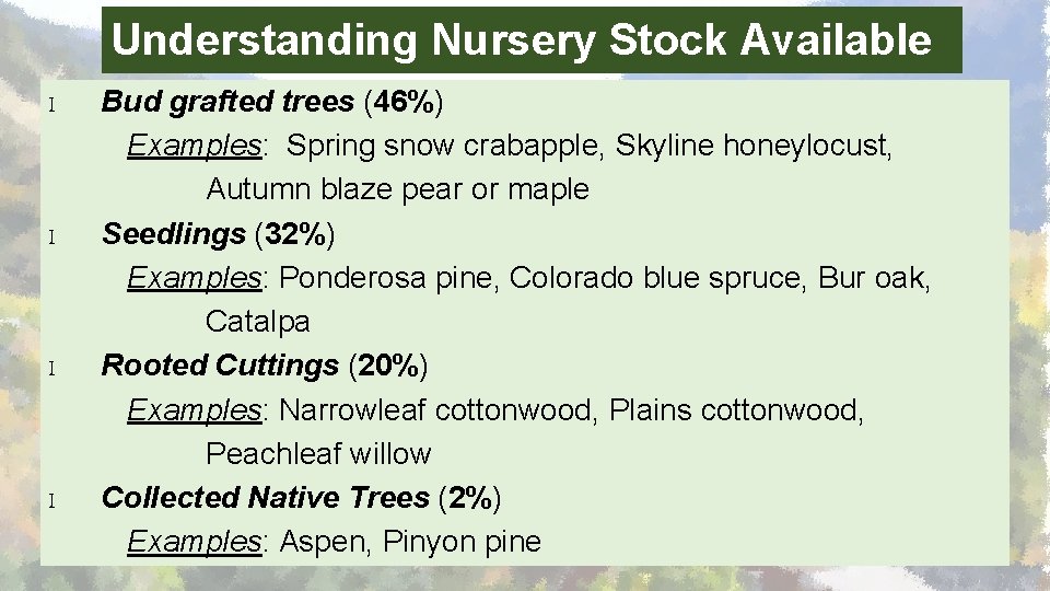 Understanding Nursery Stock Available I I Bud grafted trees (46%) Examples: Spring snow crabapple,