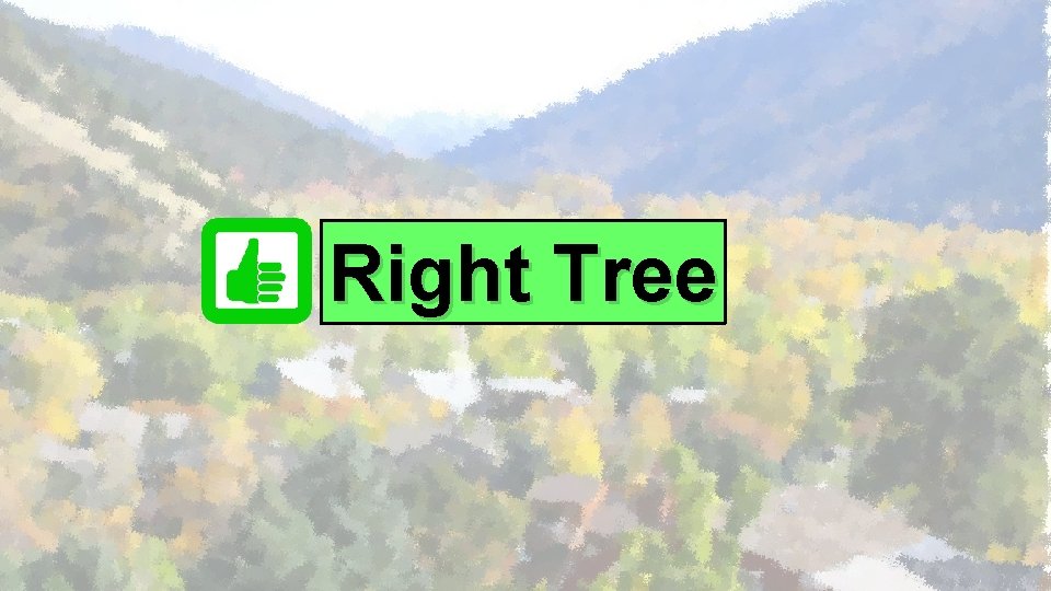 Right Tree 