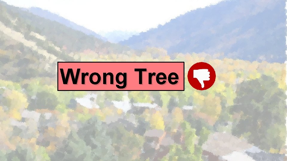 Wrong Tree 