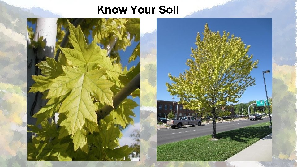 Know Your Soil 