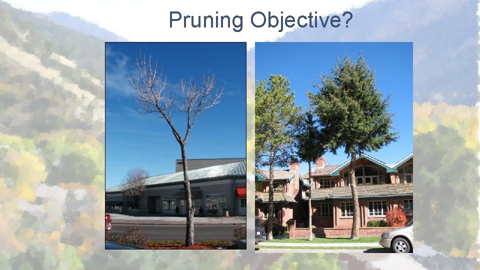 Pruning Objective? 