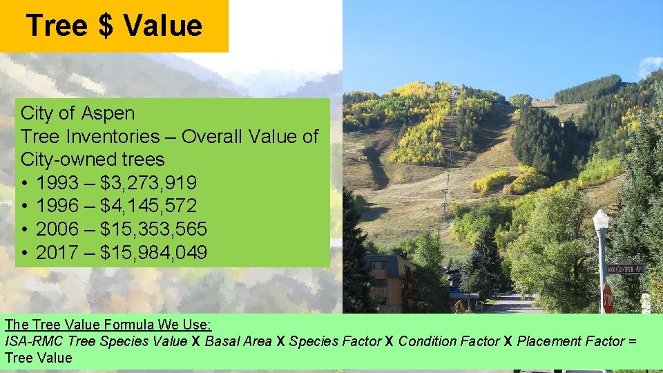 Tree $ Value City of Aspen Tree Inventories – Overall Value of City-owned trees