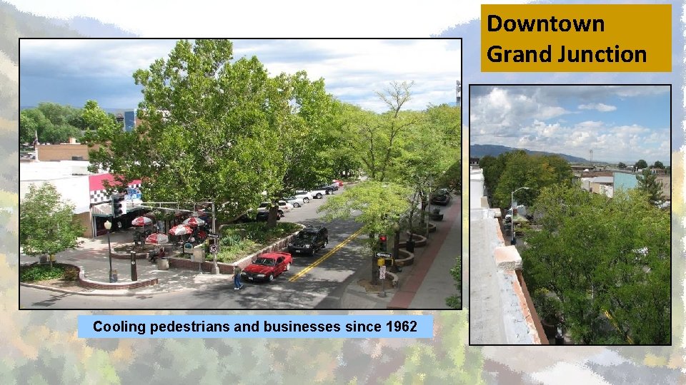 Downtown Grand Junction Cooling pedestrians and businesses since 1962 