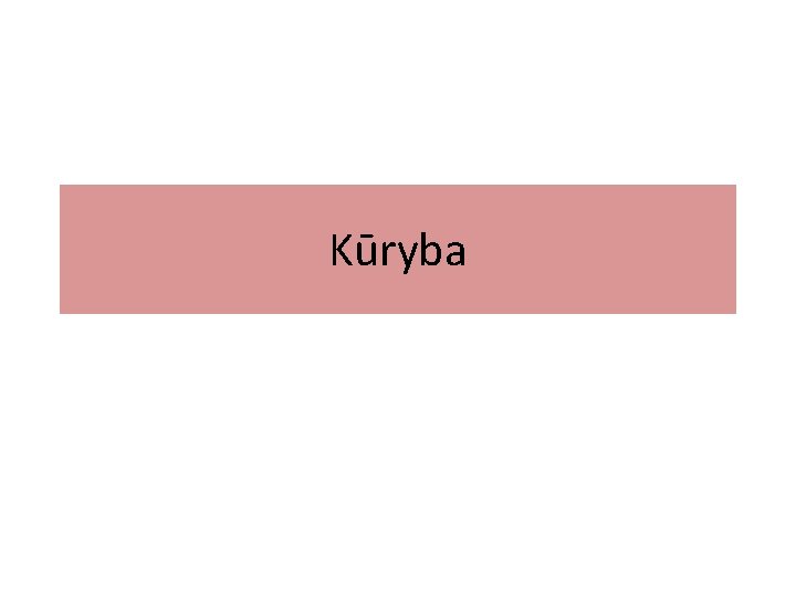 Kūryba 