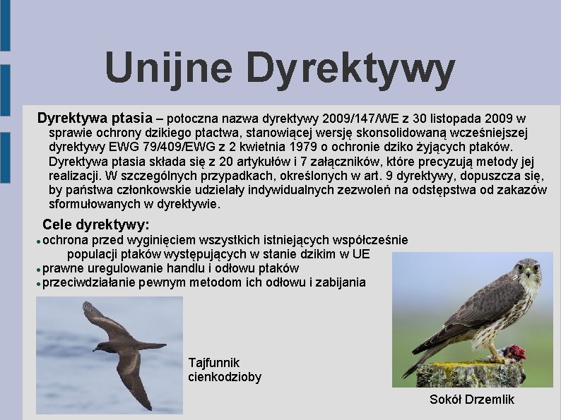 Unijne Dyrektywy Dyrektywa ptasia – potoczna nazwa dyrektywy 2009/147/WE z 30 listopada 2009 w