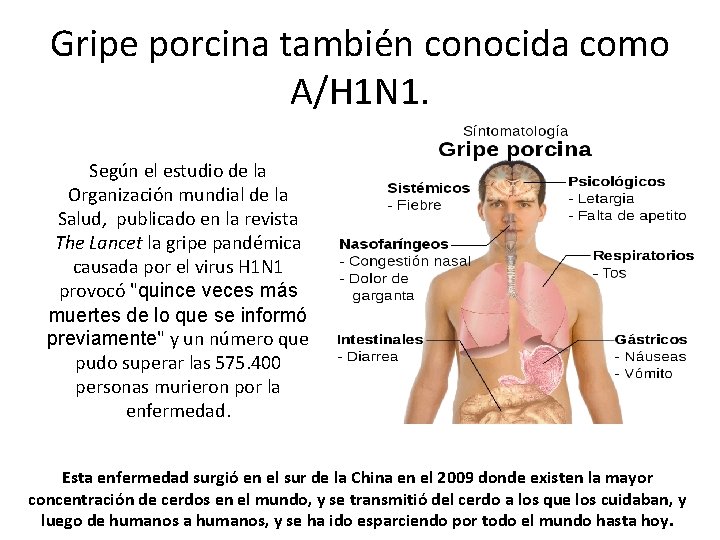 Gripe porcina también conocida como A/H 1 N 1. Según el estudio de la