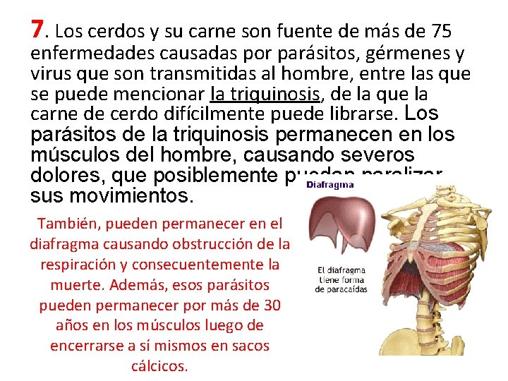 7. Los cerdos y su carne son fuente de más de 75 enfermedades causadas