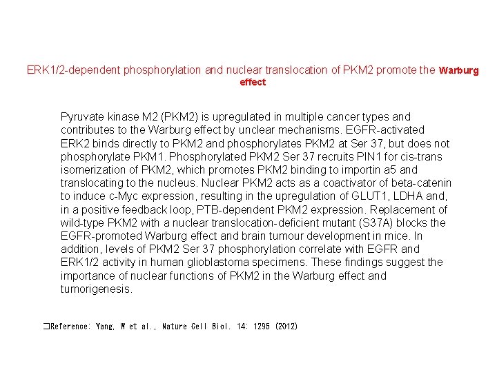 ERK 1/2 -dependent phosphorylation and nuclear translocation of PKM 2 promote the Warburg effect