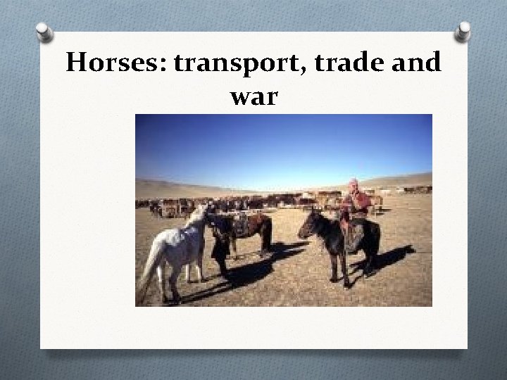 Horses: transport, trade and war 