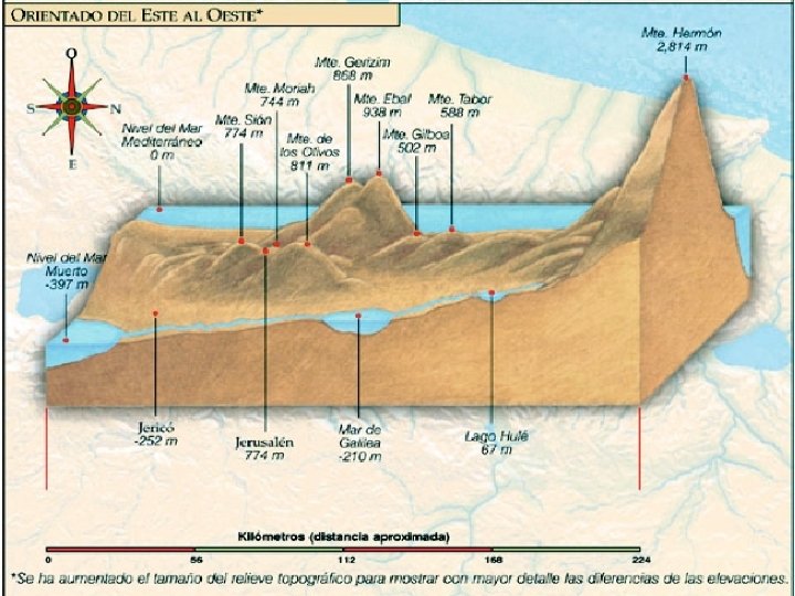  topography 