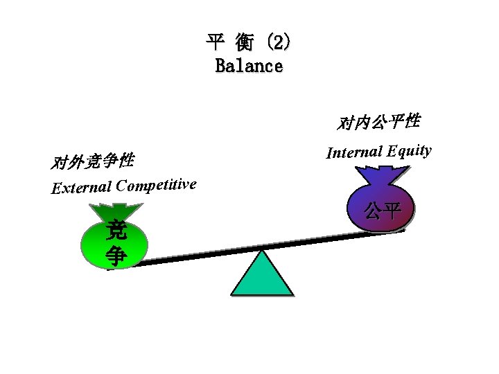 平 衡 (2) Balance 对内公平性 对外竞争性 Internal Equity External Competitive 竞 争 公平 