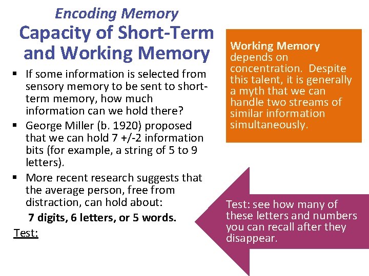 Encoding Memory Capacity of Short-Term and Working Memory § If some information is selected