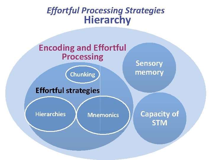 Effortful Processing Strategies Hierarchy Encoding and Effortful Processing Chunking Sensory memory Effortful strategies Hierarchies