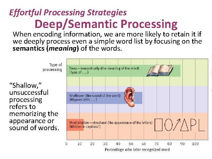 Effortful Processing Strategies Deep/Semantic Processing When encoding information, we are more likely to retain