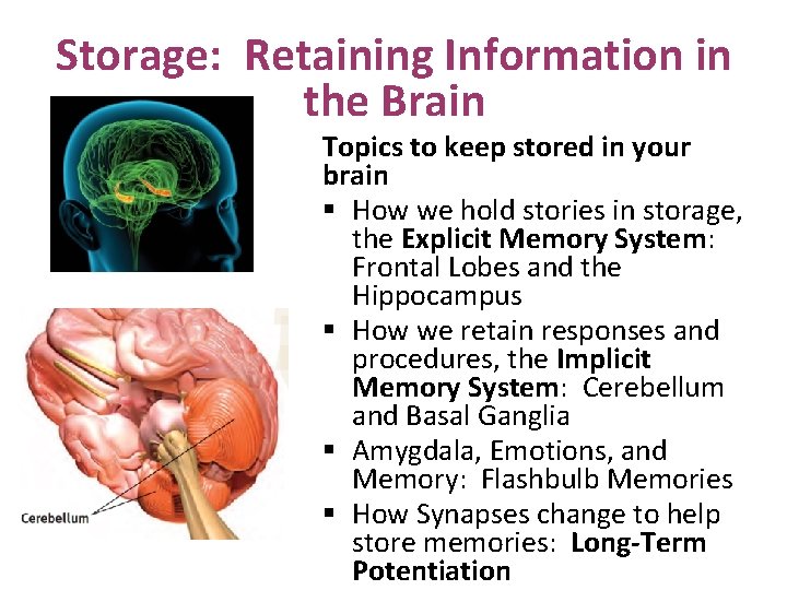 Storage: Retaining Information in the Brain Topics to keep stored in your brain §