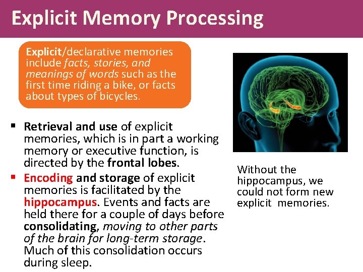 Explicit Memory Processing Explicit/declarative memories include facts, stories, and meanings of words such as