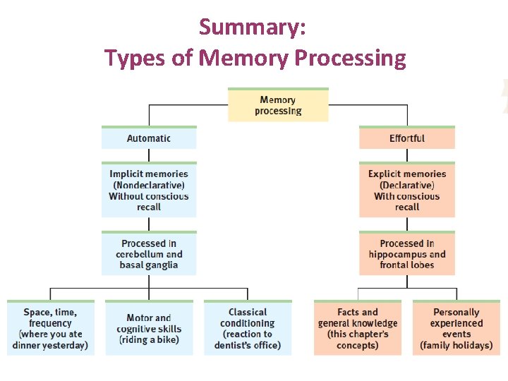 Summary: Types of Memory Processing 