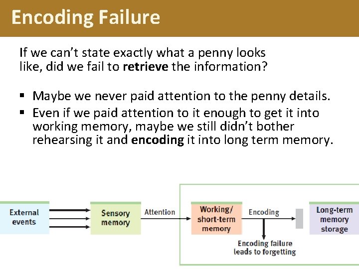 Encoding Failure If we can’t state exactly what a penny looks like, did we