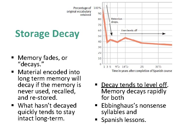 Storage Decay § Memory fades, or “decays. ” § Material encoded into long term