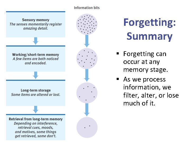 Forgetting: Summary § Forgetting can occur at any memory stage. § As we process