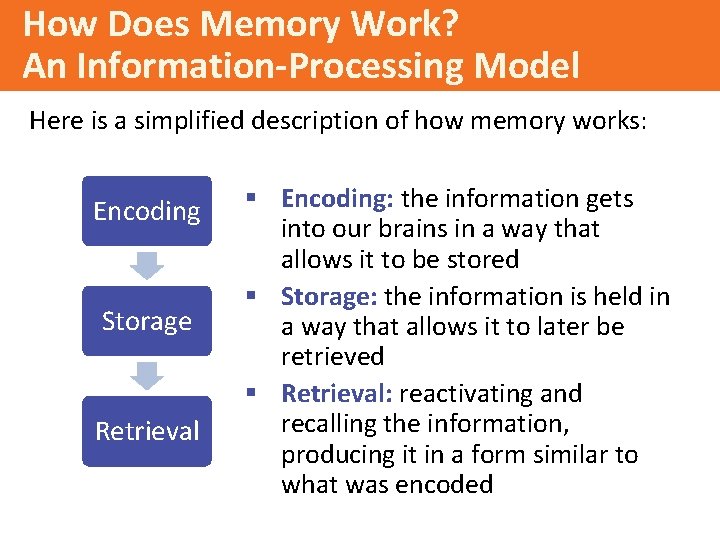 How Does Memory Work? An Information-Processing Model Here is a simplified description of how