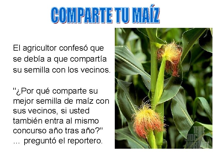 El agricultor confesó que se debía a que compartía su semilla con los vecinos.