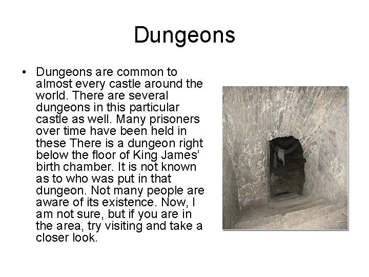 Dungeons • Dungeons are common to almost every castle around the world. There are