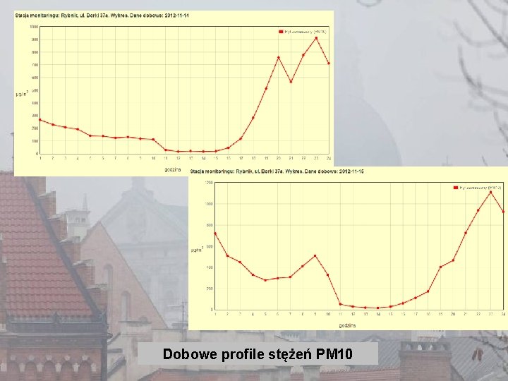 Dobowe profile stężeń PM 10 