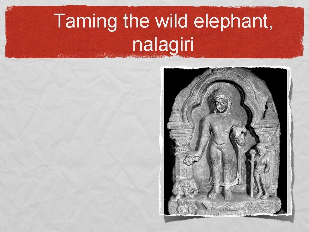 Taming the wild elephant, nalagiri 