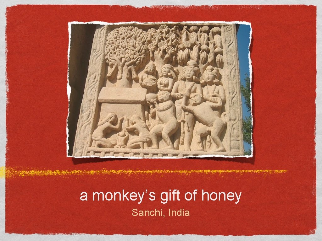 a monkey’s gift of honey Sanchi, India 