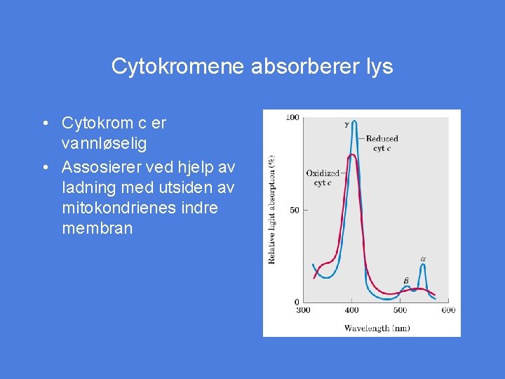 Cytokromene absorberer lys • Cytokrom c er vannløselig • Assosierer ved hjelp av ladning