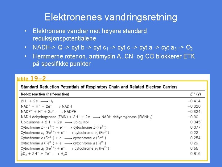 Elektronenes vandringsretning • Elektronene vandrer mot høyere standard reduksjonspotentialene • NADH-> Q -> cyt
